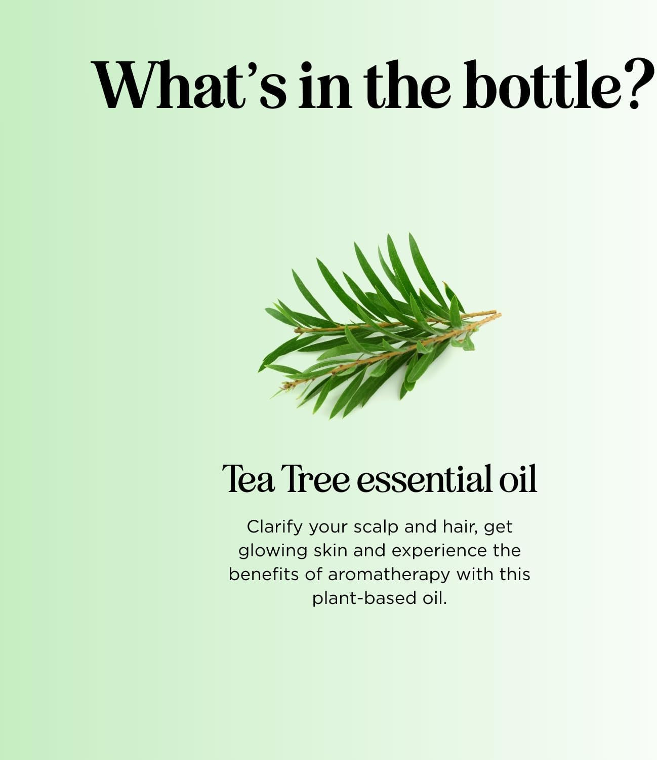 100% Pure Tea Tree Oil for Skin & Scalp Care – Natural Aromatherapy