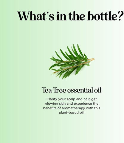 100% Pure Tea Tree Oil for Skin & Scalp Care – Natural Aromatherapy